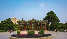 郑州人民公园爆料视频,网友爆料视频引热议